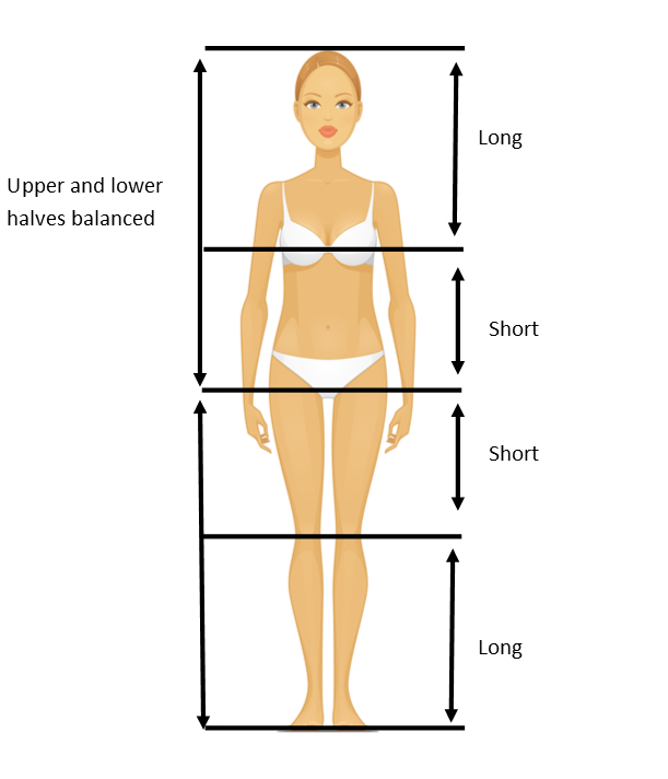 Body Proportions Explained Balanced With A Short Mid Body Inside