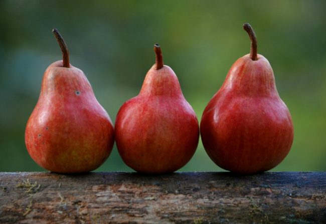 tops for pear body shape