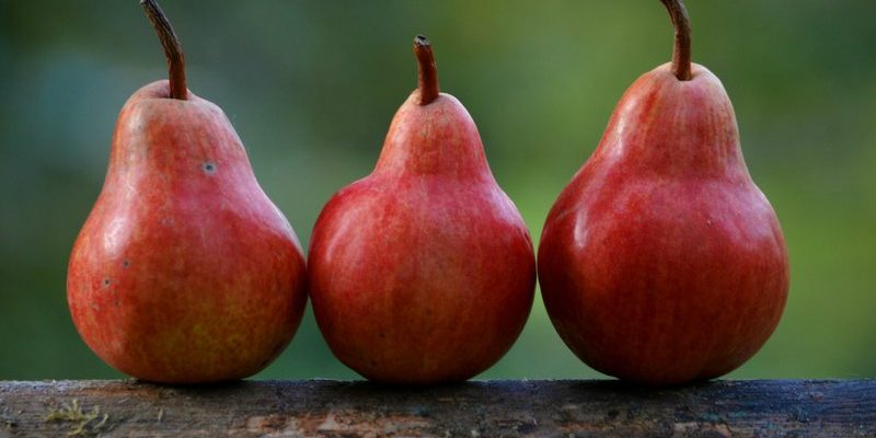 tops for pear body shape