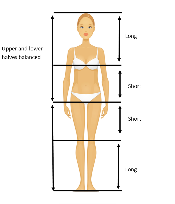 Body Proportions Explained - Balanced with a Short Mid-Body