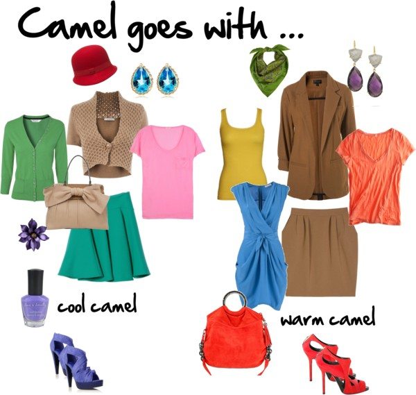 Camel goes with