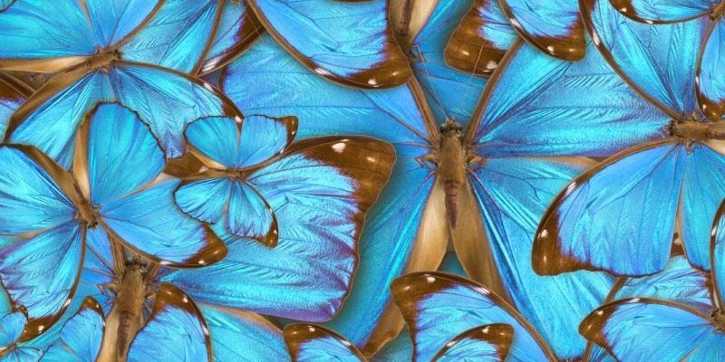 signature print signature style