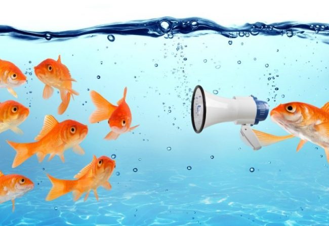 introversion and extroversion communication