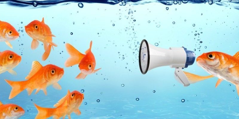 introversion and extroversion communication