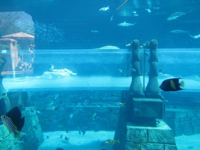 Aquaventure aquarium