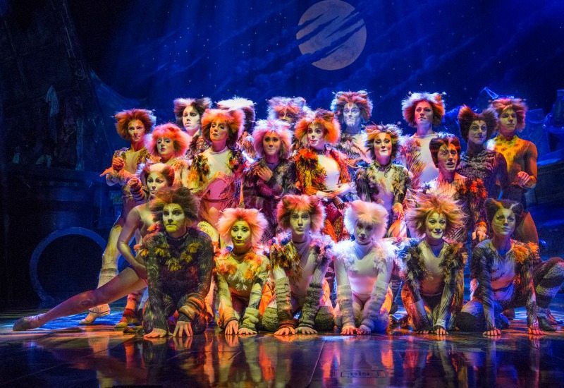 cats musical  Cats musical, Musicals, Cats