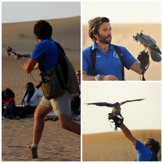 Dubai Desert falconry show