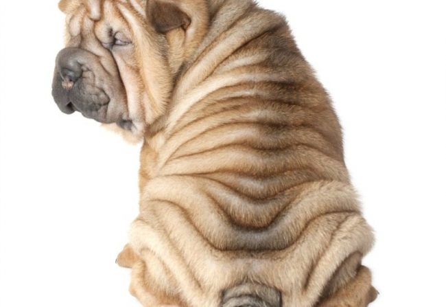 Why should you embrace your wrinkles