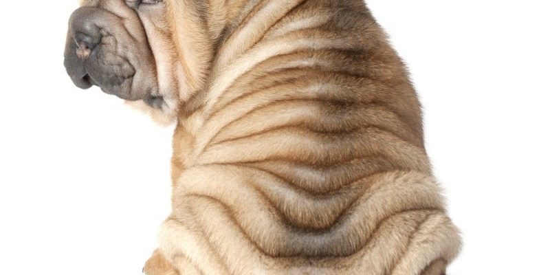 Why should you embrace your wrinkles