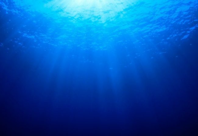 Naturally inspired outfit - weekend style challenge