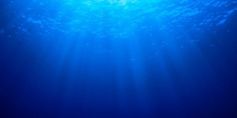 Naturally inspired outfit - weekend style challenge