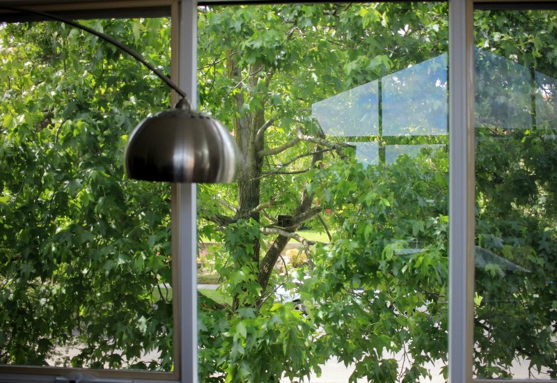 pantone-greenery-2017