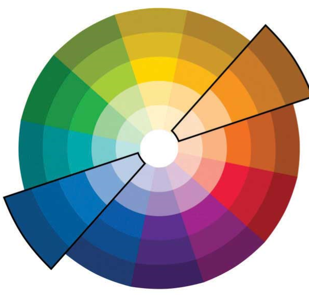 understanding-warm-and-muted-colours-academy-of-professional-image