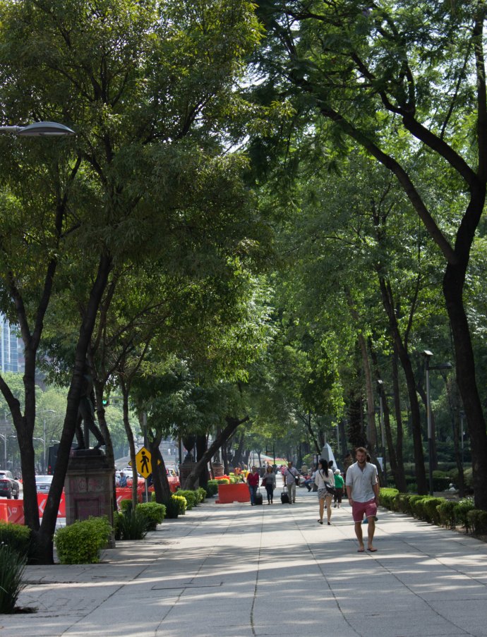 A glimpse into the streets of Mexico City