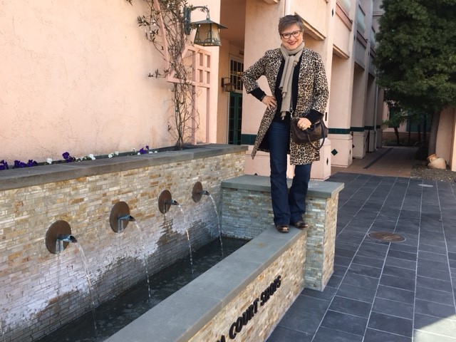 Be Inspired - Read the Stylish Thoughts of Author and Image Consultant Brenda Kinsel