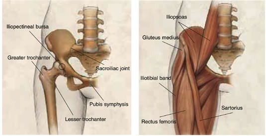 What is a Hip Dip and What to Wear When You Have Hip Dips Inside