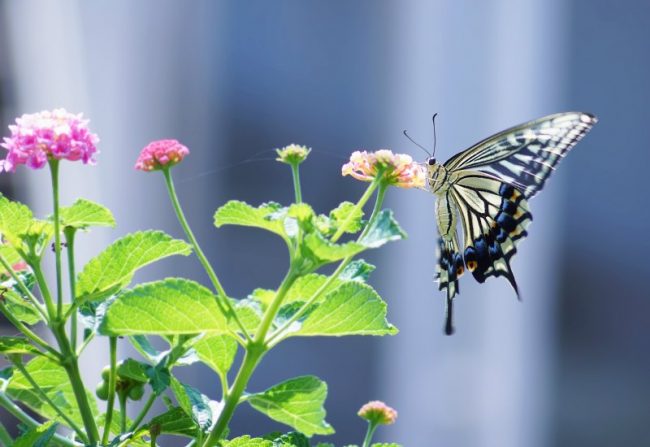 Why Vulnerability is an Act of Strength and Courage