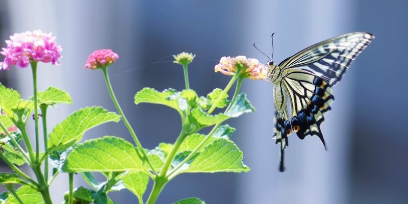 Why Vulnerability is an Act of Strength and Courage