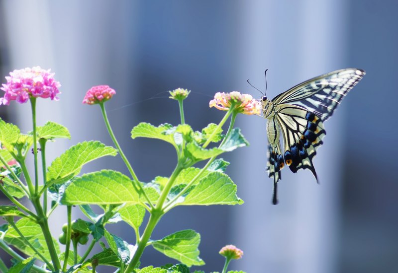 Why Vulnerability is an Act of Strength and Courage