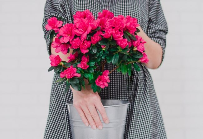 Essentials You Need to Know About How The Size and Density of a Print Impacts on its Value Contrast