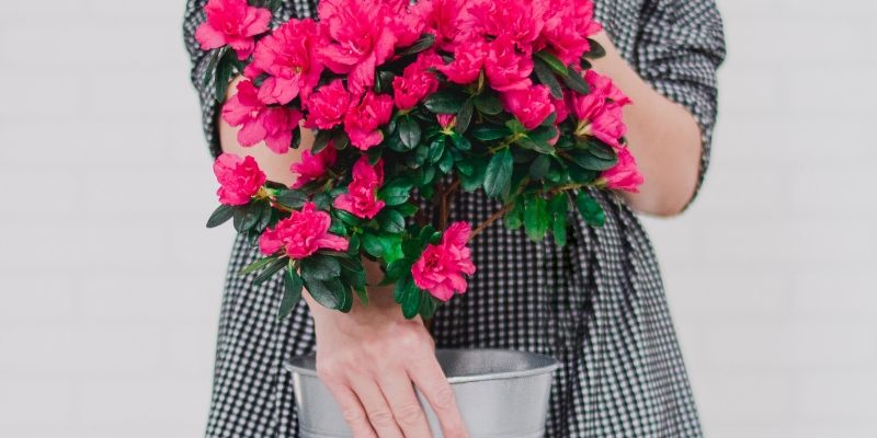 contrast of patterns black and white Essentials You Need to Know About How The Size and Density of a Print Impacts on its Value Contrast