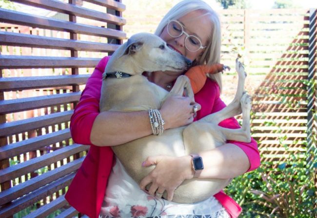 vale cleo the whippet Goodbye Cleo the whippet