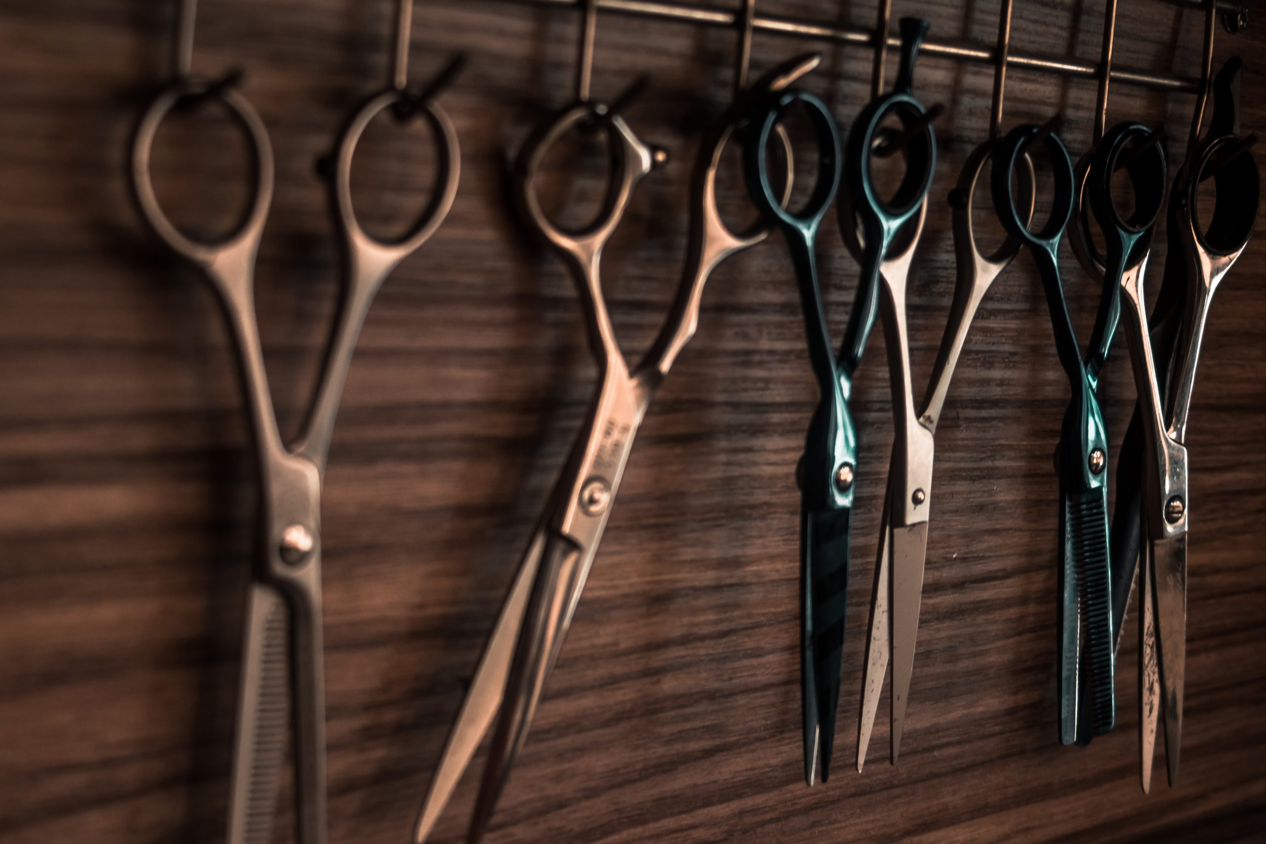 Canva – Several Scissors