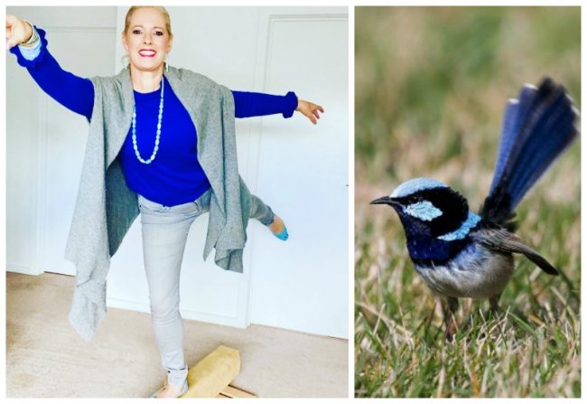 blue wren outfit inspiration