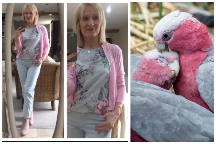 Galah Inspired Outfits