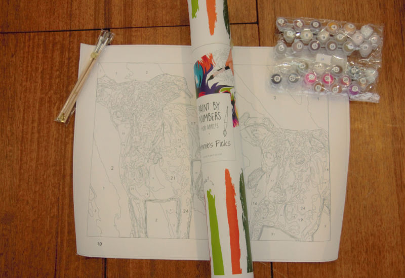 Paint by Numbers custom kit by Winnies Picks