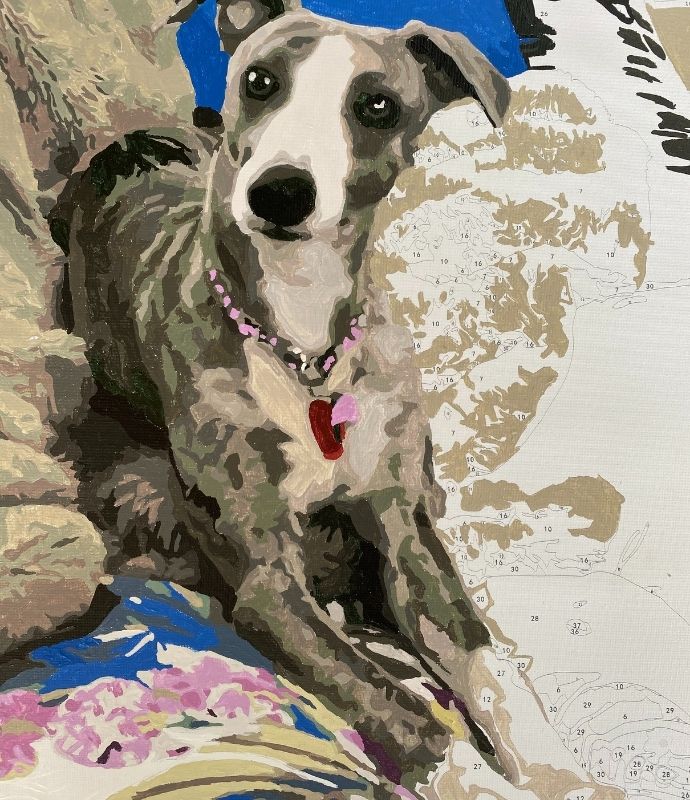 Paint by numbers photo of your pet
