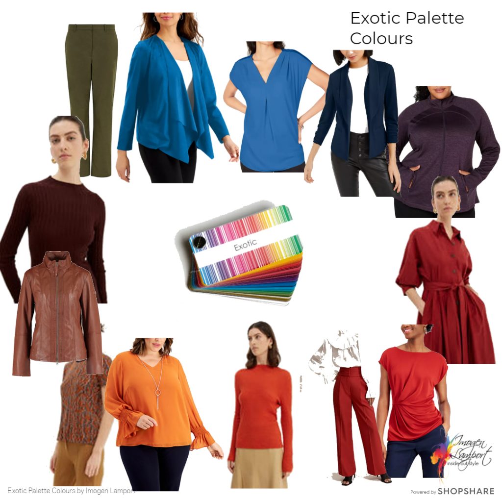 Getting to Know the Exotic Palette with Shoppable Picks — Inside Out Style