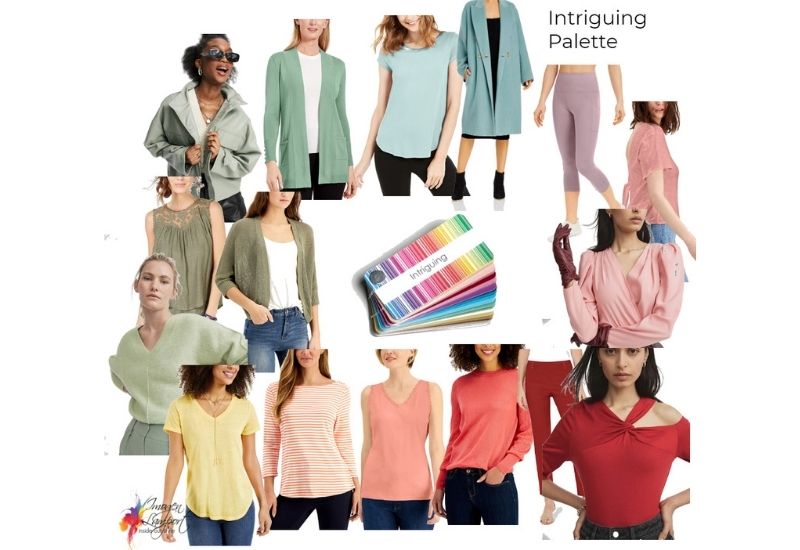 Getting to Know the Intriguing Palette