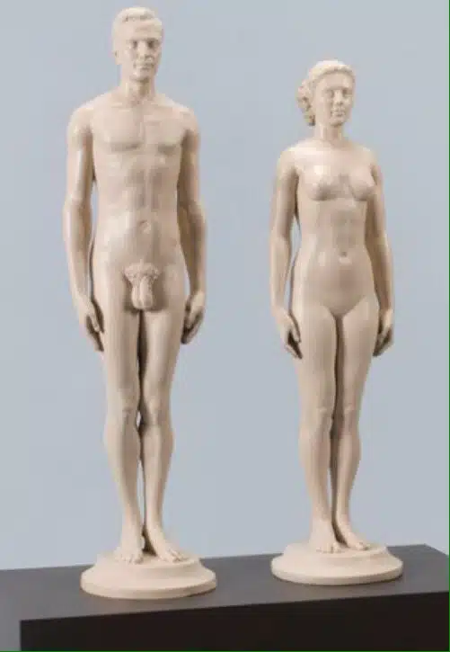 Normann and Norma statues which were supposed to be the average - most normal people in America in the 1940s based on measurements 