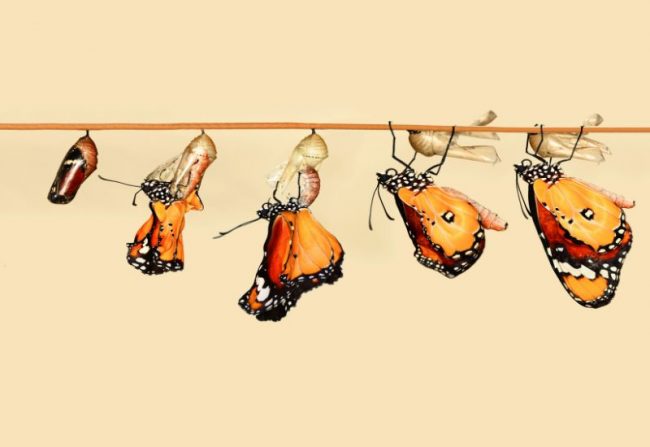 How Your Clothes Impact Your Confidence Unveiling the Power of Personal Style How Your Clothes Impact Your Confidence Unveiling the Power of Personal Style - personal style can transform your life