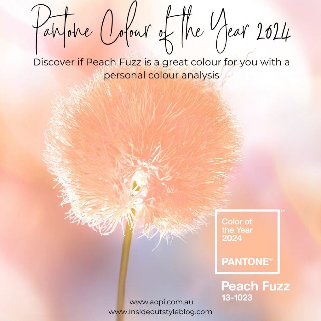 Pantone Colour of the Year 2024 Peach Fuzz — Inside Out Style