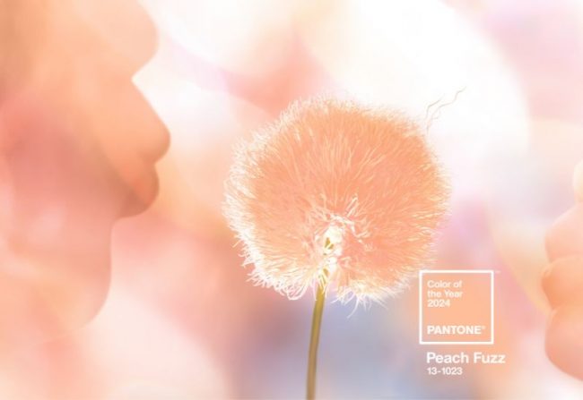 pantone peach fuzz Pantone colour of the year peach fuzz