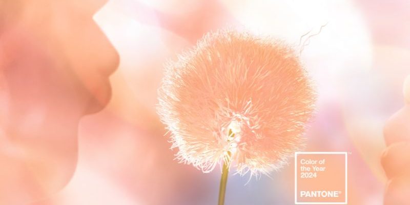 Pantone colour of the year peach fuzz