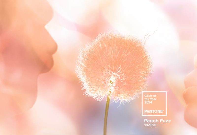 Pantone colour of the year peach fuzz