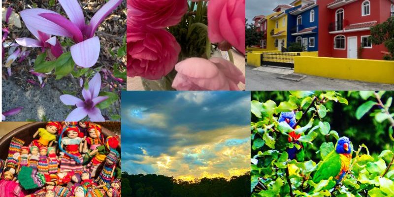 What have you been inspired to photograph because of the colours?