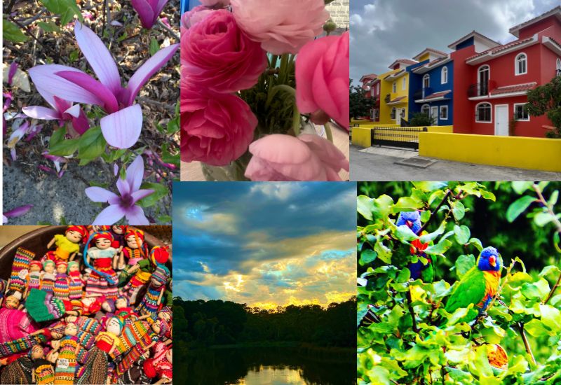 What have you been inspired to photograph because of the colours?