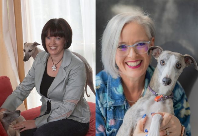 How Do Your Colours Change When You Go Grey How Do Your Colours Change When You Go Grey?