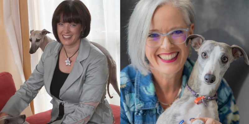 How Do Your Colours Change When You Go Grey?