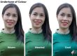 Properties of colour - undertone of colour - warm and cool