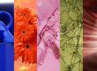 WGSN 2027 colours of the year