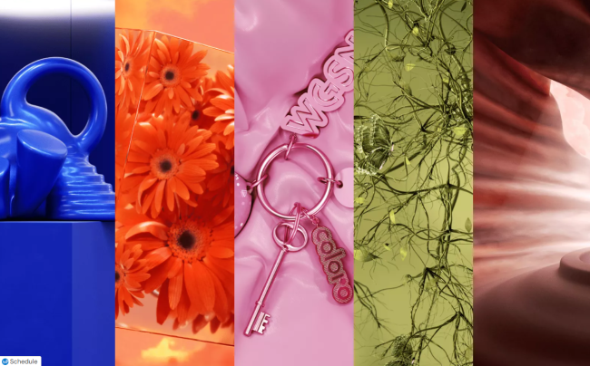WGSN 2027 colours of the year